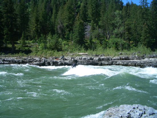 Surfer gibt es auch hier