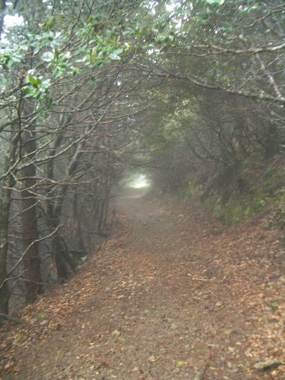 Er macht aber auch alles mystischer, das ist das Schoene daran