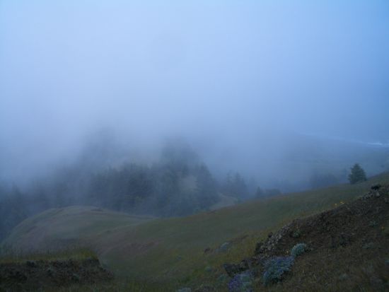 Gegen Mittag hoerte es endlich auf zu regnen und auch der Nebel loeste sich langsam auf
