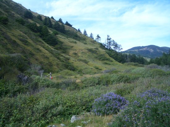 Cooskie Creek Canyon