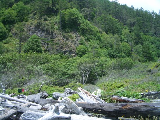 Driftwood schuetzte mich vor Wind. Das Zelt wird fast eins mit der Landschaft und ist gut verborgen