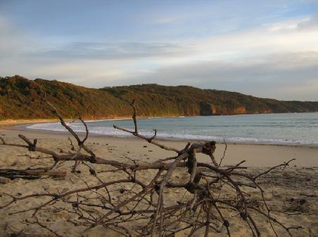 Strand von Seal Rocks