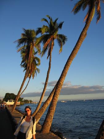 Sandra an Lahaina's, Maui, Promenade