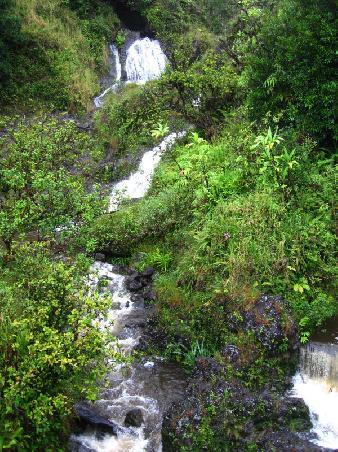 Strasse nach Hana, Maui