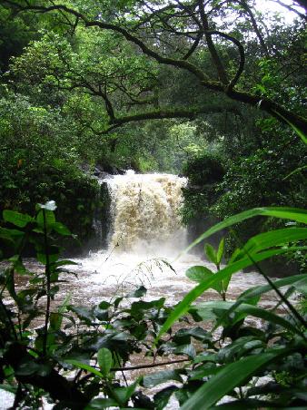 Strasse nach Hana, Maui