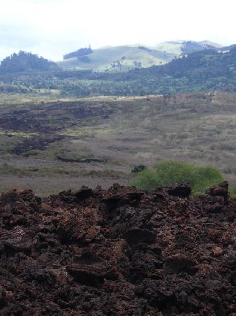 ehemaliger Lavafluss, Maui