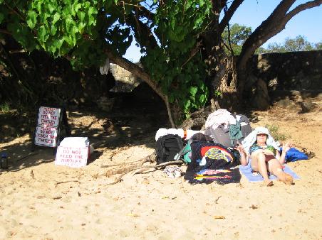 Strandgelage am Turtle Beach, Ohao