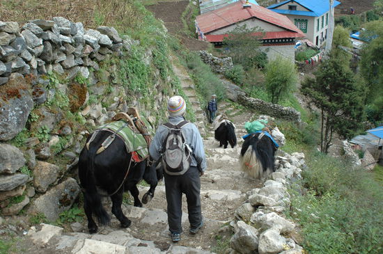 Der Weg zur Health Post Station