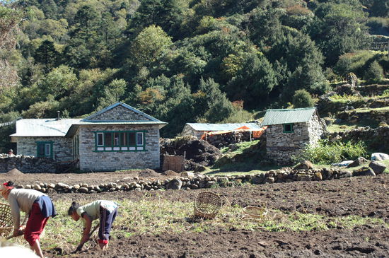    Über 4000 m wachsen noch Kartoffeln, einfach irre.