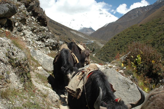 Schön links laufen, sonst bekomme ich einen Schups und liege tief unten.