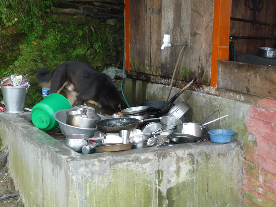 In der Zwischenzeit hat der Haus Angestellte den Abwasch
gemacht. 