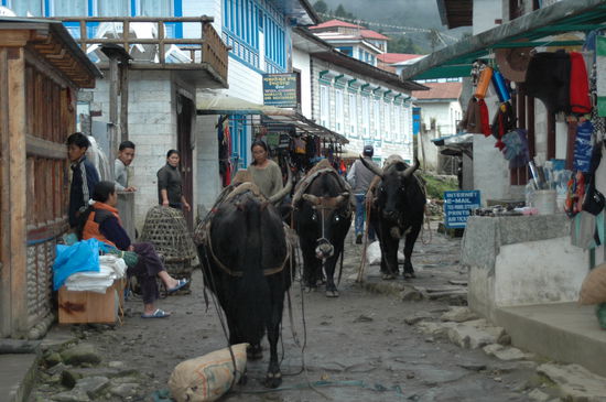 Shoppingmeile in Lukla