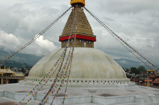 Die Gesamtheit in ihrer vollen Pracht