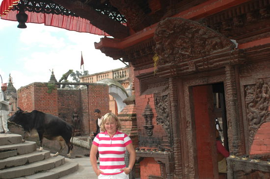 Wer ist interessanter, die heilige Kuh, die weniger heilige Ines......