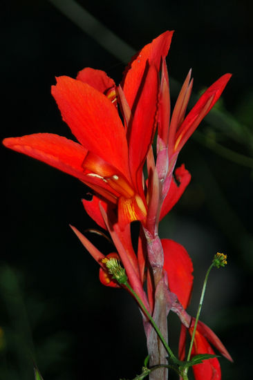 Wer weiß wie sie heisst?