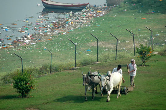 Gleich hinter dem Taj Mahal sieht es so aus 