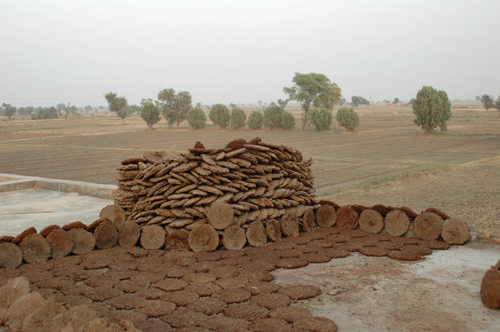 Getrockneter Kuhdung als Brennmaterial