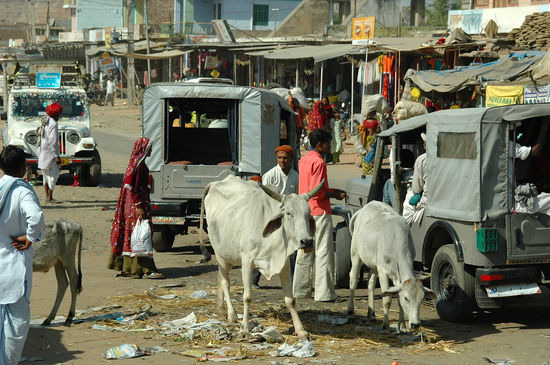 Der übliche Wahnsinn auf Indiens Strassen