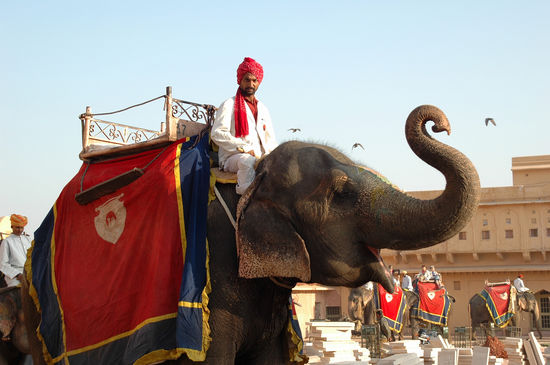 Stolzer Inder auf seinem Elefanten
