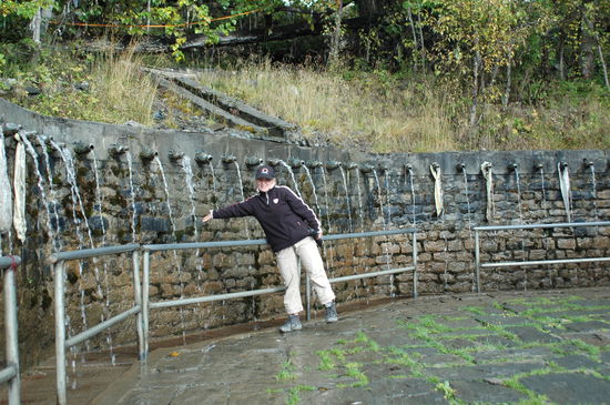 Versuchen kann man es ja mal