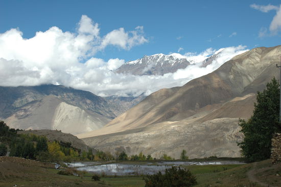 Wunderschönes Mustang