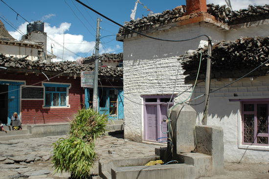 vor dem grünen Busch befindet sich jemand