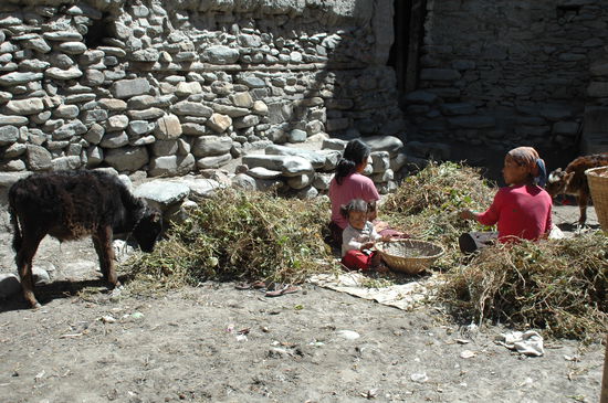 Im Altdorf.......Frauen bei der Hausarbeit