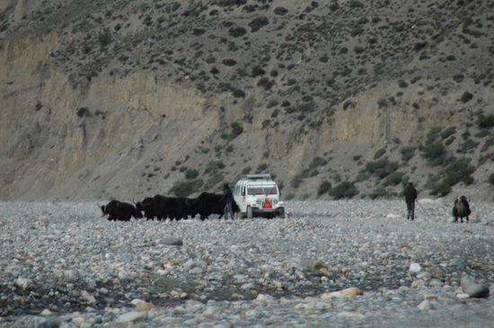 Durch's Flussbett verläuft teilweise die "Strasse"