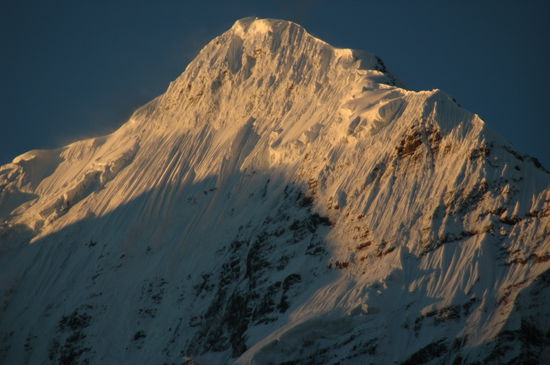 Der Niligri in der Morgensonne