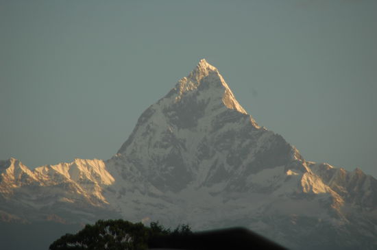 Der Machapuchare im Morgenlicht