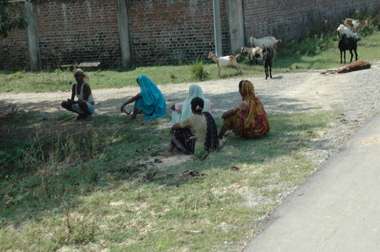 Im Secred Garden geht's zu wie in einem Dorf