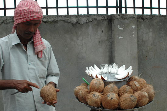 Mein absoluter Favorit..........jeden Tag ein Stück Kokos habe ich ihm abgekauft................lecker