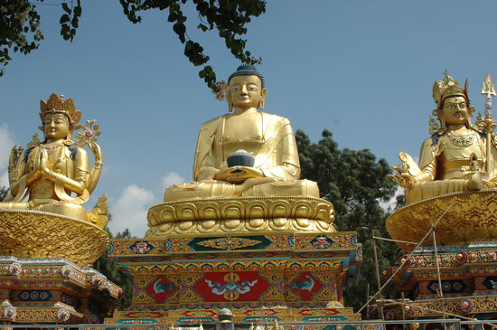 Buddha Familie