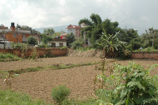 Felder mitten in Lalitpur