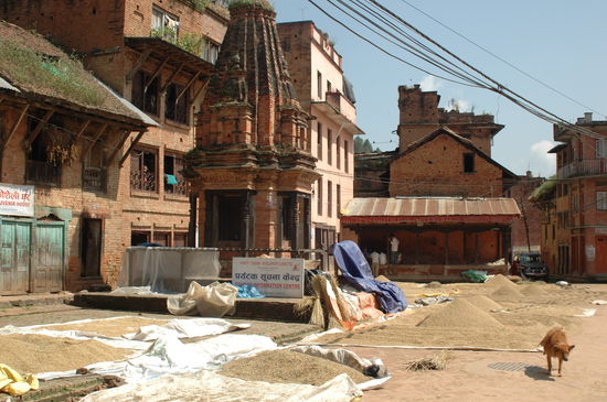 Getreide wird getrocknet in Panauti