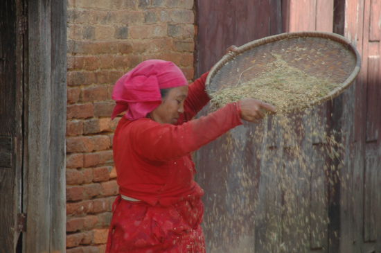 Alles wird noch per Hand gemacht