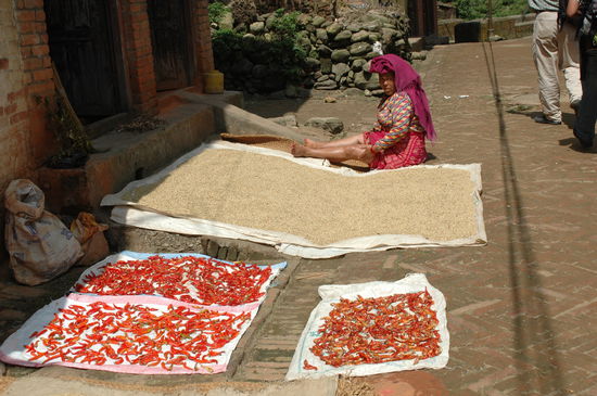 paprika und Hirse wird in der Sonne getrocknet