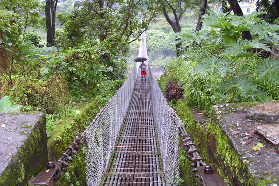 Regenschirm Trecking