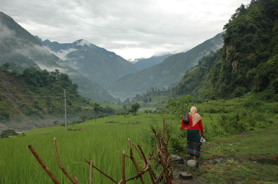Unterwegs an den Reisfeldern entlang