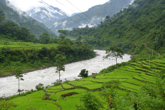 Der tobende Masayangdi