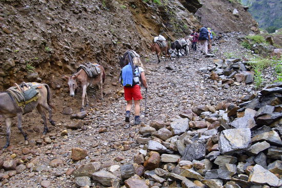 Hier geht's das erste mal hoch