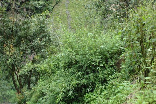  Spass macht es bestimmt einigen hier vorbei zu gehen, aber nicht erwischen lassen!