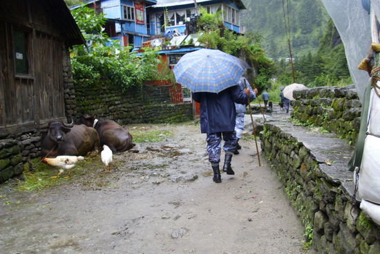 Ein weit verbreitetes Phänomen an diesen Tagen......Menschen mit Regenschirm. Selbst Nepals Polizei nutzt die Dinger