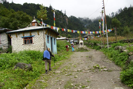 Wirklich mit aller letzter Kraft schleppe ich mich zur Lodge