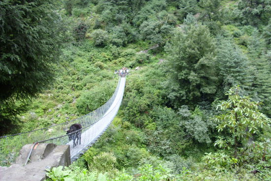 Und immer wieder Hängebrücken
