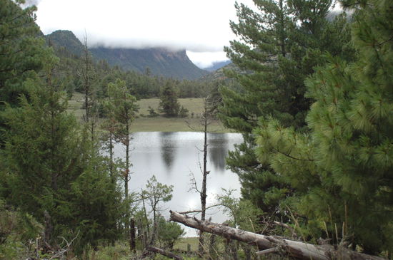 Man könnte glauben es ist Kanada