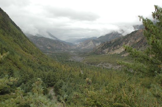 Ganz da hinten ist der Thorang la Pass