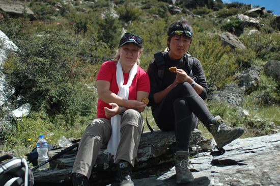 Kekse mampfen bei spitzen Panorama