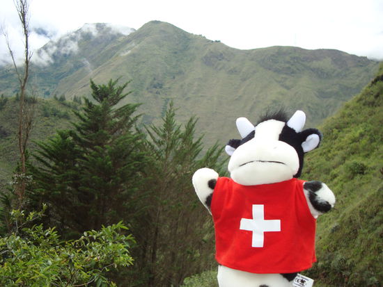 Jaja, da hatte sie noch Freude...