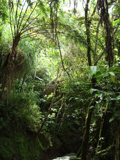 Abstieg zum Teufelskessel